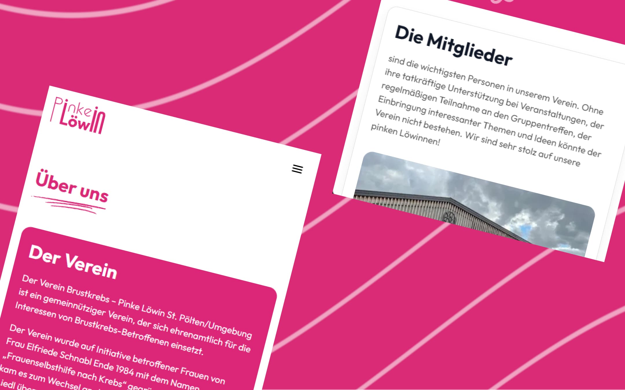 Pinke Löwin Website auf dem Smartphone – Sektionen